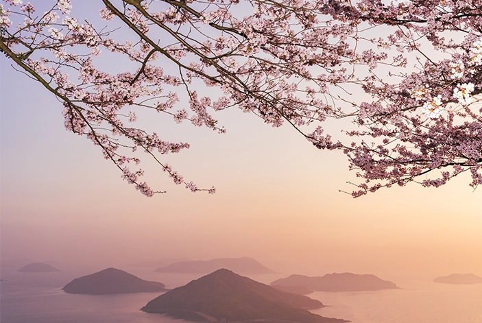 三井オーシャンフジの寄港地観光イメージ